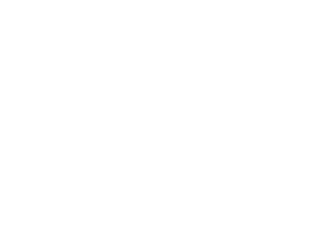 Stelia aerospace