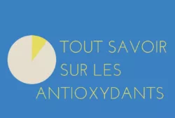 Tout savoir sur les antioxydants