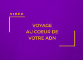 Voyage au coeur de l'ADN