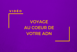 Voyage au coeur de l'ADN